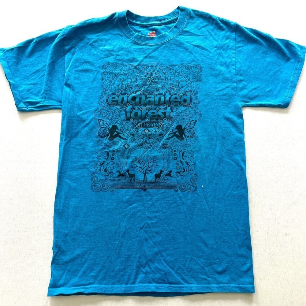 Hanes Men's Small Blue Enchanted Forest Gathering Graphic Music T Shirt Mugwort